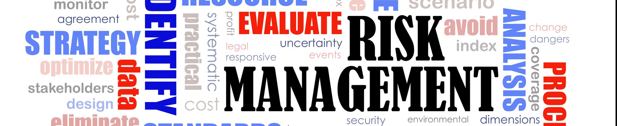 Risk assessment and management training