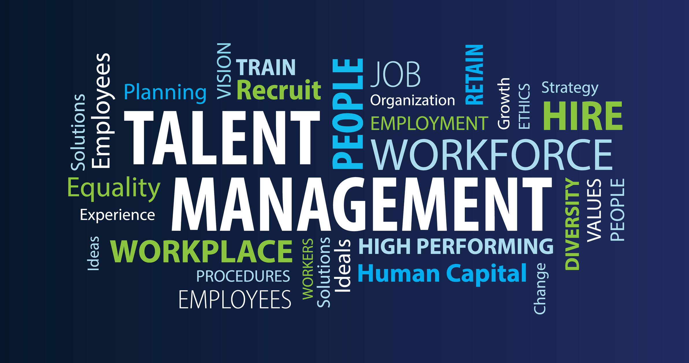 Talent management training