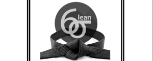 Lean six sigma black belt training