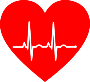 Occupational Health & Safety Course
