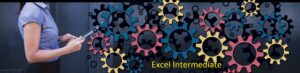 MS Office Excel Training – BOTi Intermediate Course