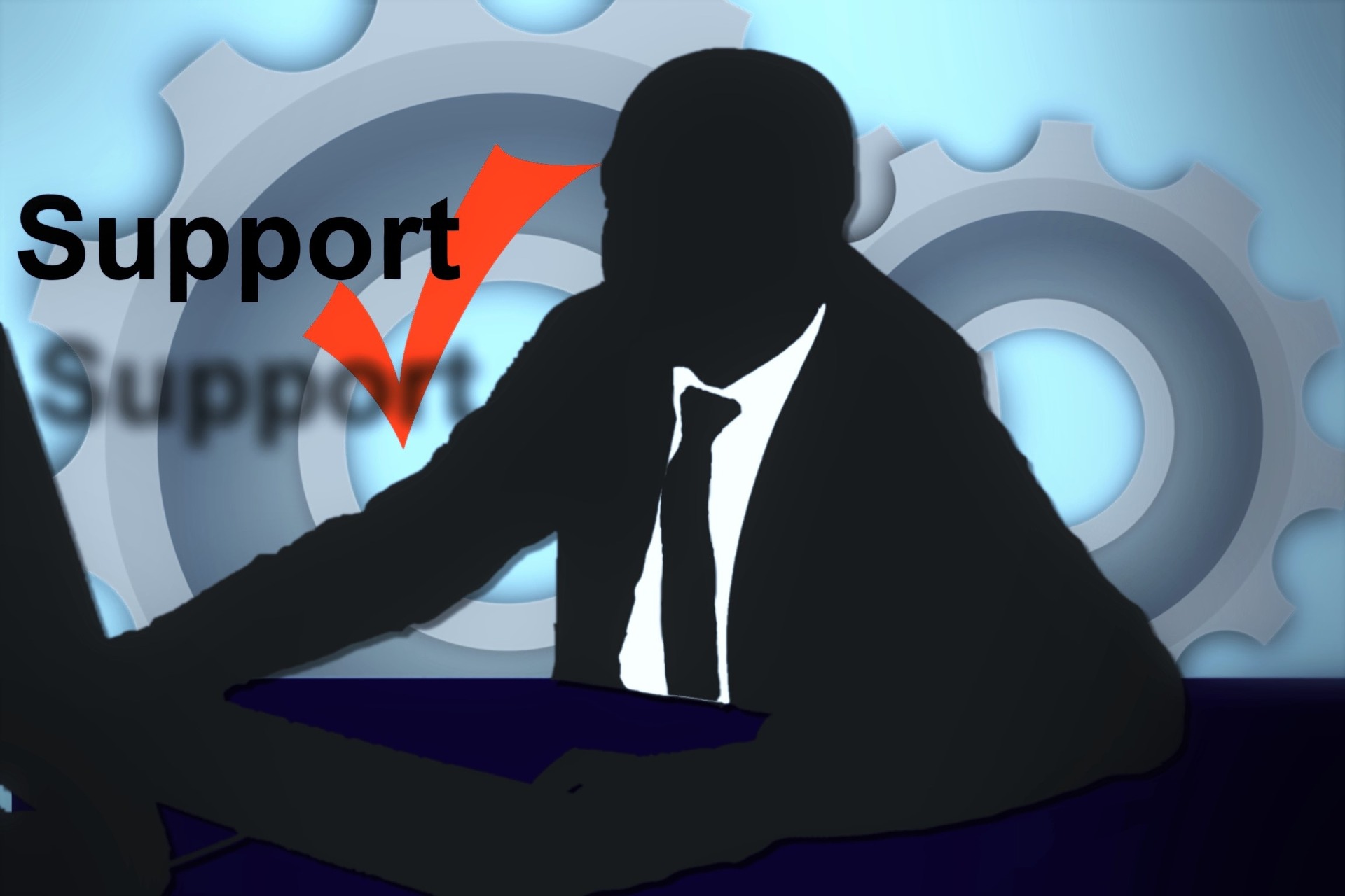 Customer support course