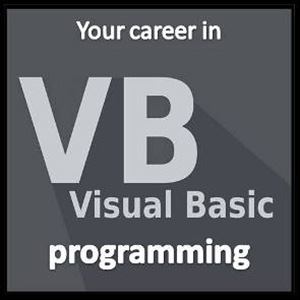 Microsoft Visual Basic Training 2012