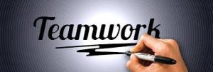 Operate in a team (Business Administration Services)