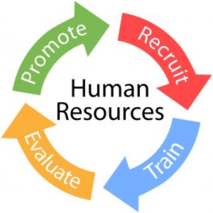 Occupational Skills Programme: Workplace-Based Practitioner – SP-220322