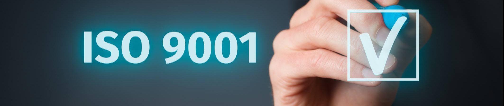 ISO 9001 training