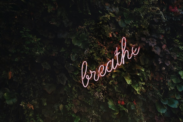 This image has an empty alt attribute; its file name is tim-goedhart-vnpTRdmtQ30-unsplash.jpg