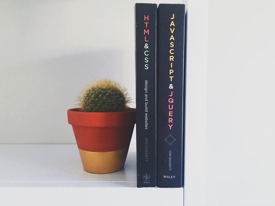Cactus beside books on HTML, CSS and JavaScript