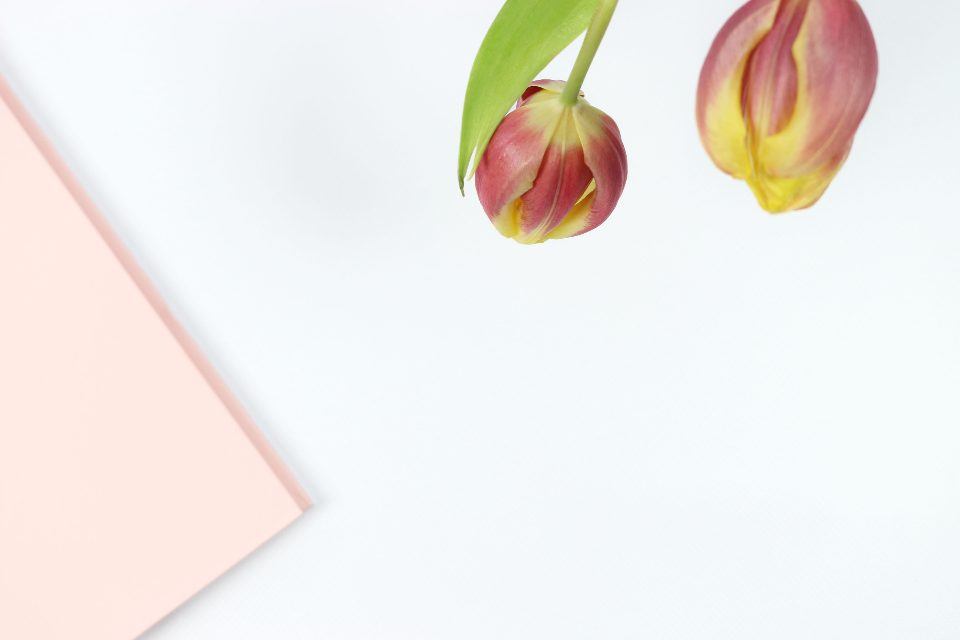 Pink notebook and flowers on a white desk