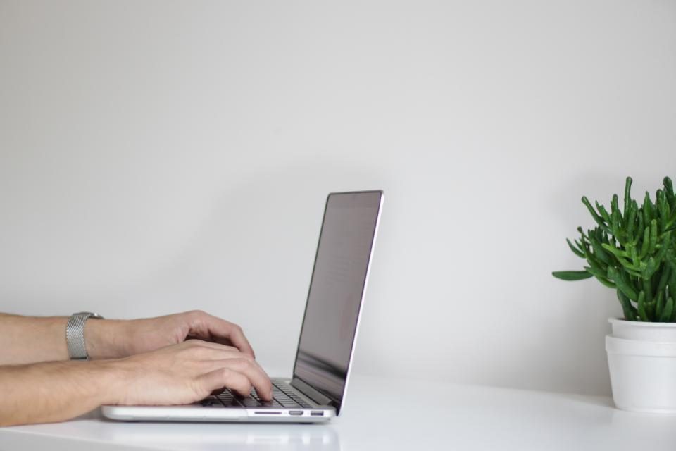 Hands typing on a laptop beside a plant