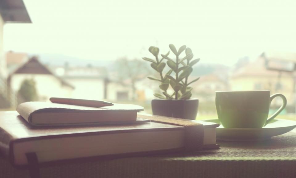Book, plant and cup by a window