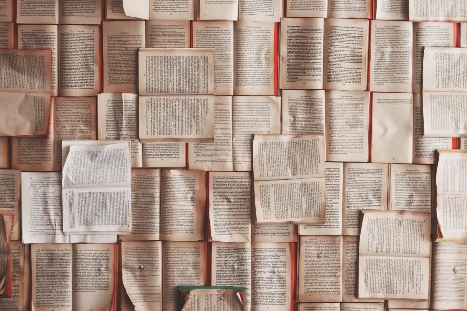 Open books laid out in rows