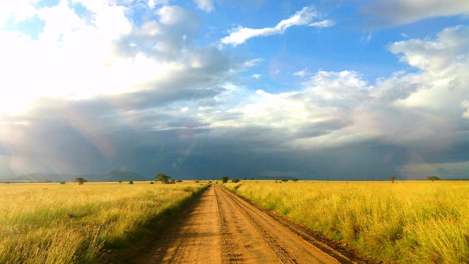 Dirt road through African grassland