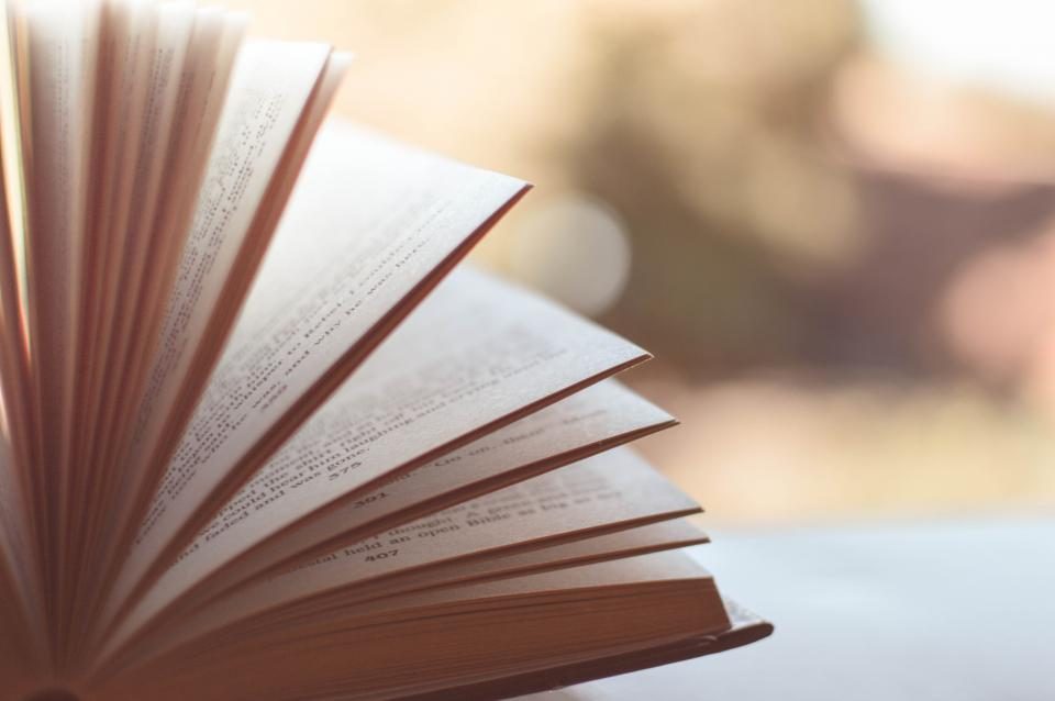 Open book with fanned pages